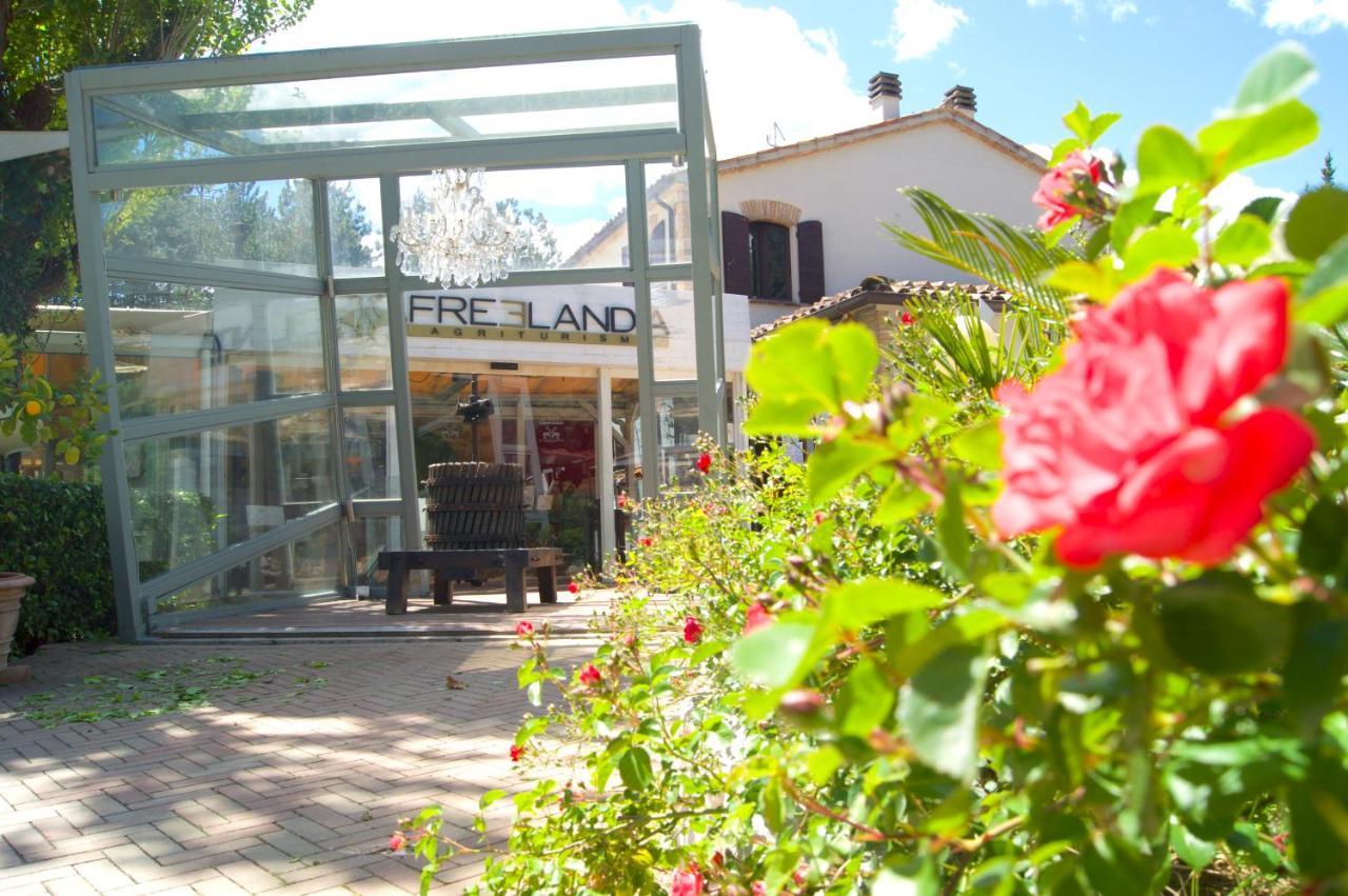 La Valle Dei Caprioli Village Bungalow Park - Freelandia Azienda Agricola Montescudo Esterno foto