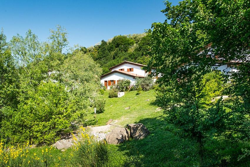 La Valle Dei Caprioli Village Bungalow Park - Freelandia Azienda Agricola Montescudo Esterno foto