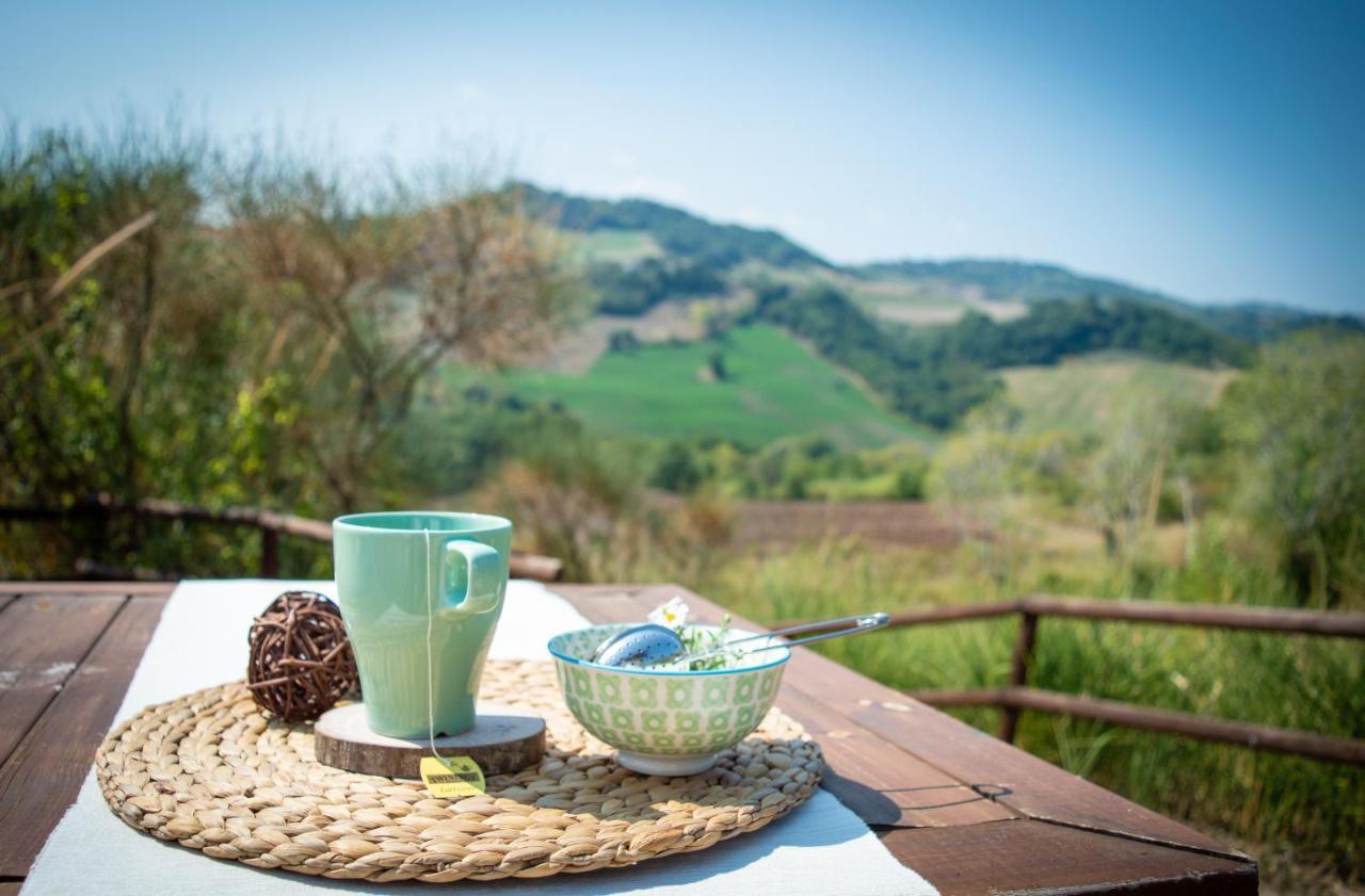 La Valle Dei Caprioli Village Bungalow Park - Freelandia Azienda Agricola Montescudo Esterno foto