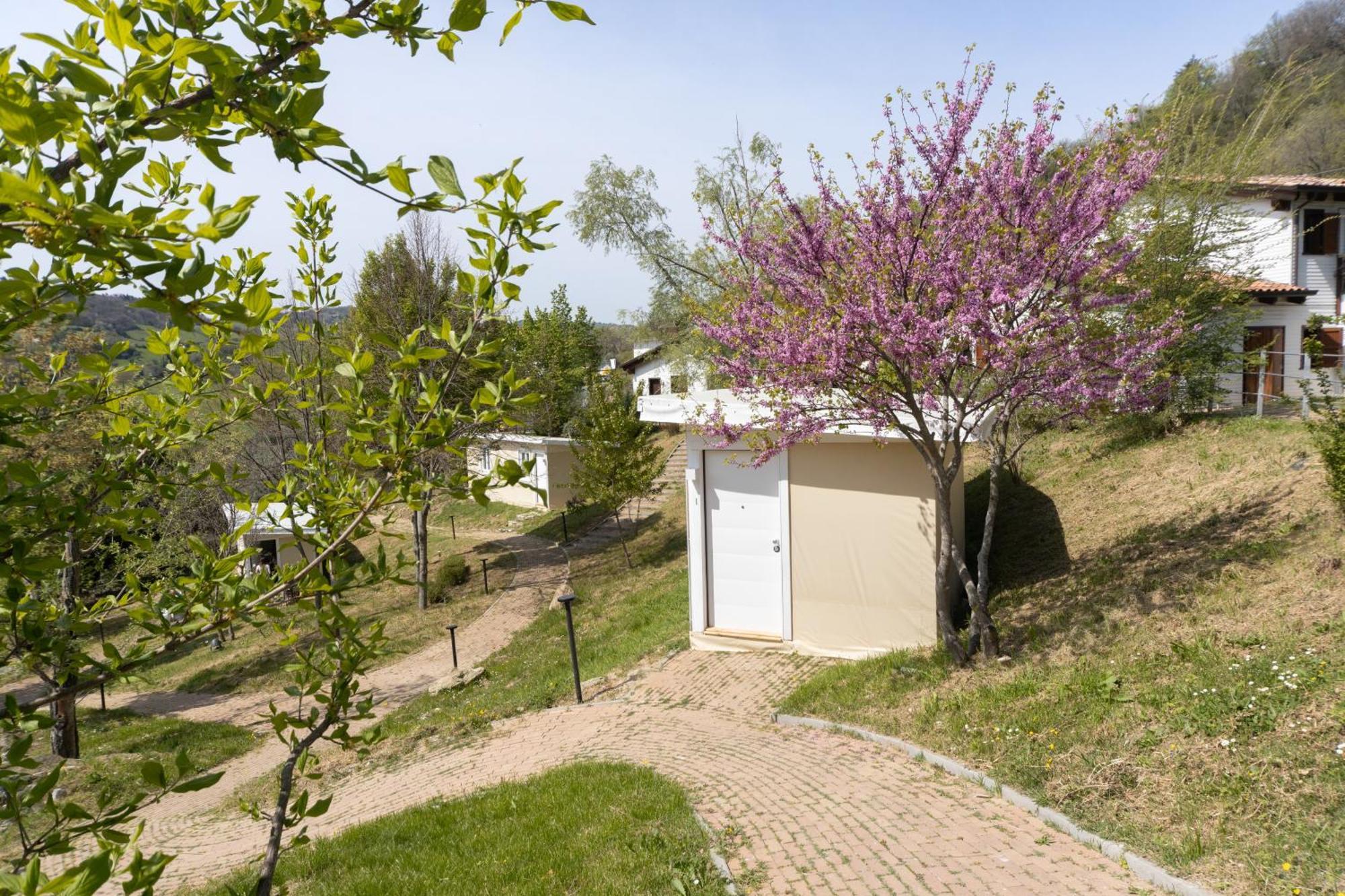 La Valle Dei Caprioli Village Bungalow Park - Freelandia Azienda Agricola Montescudo Esterno foto