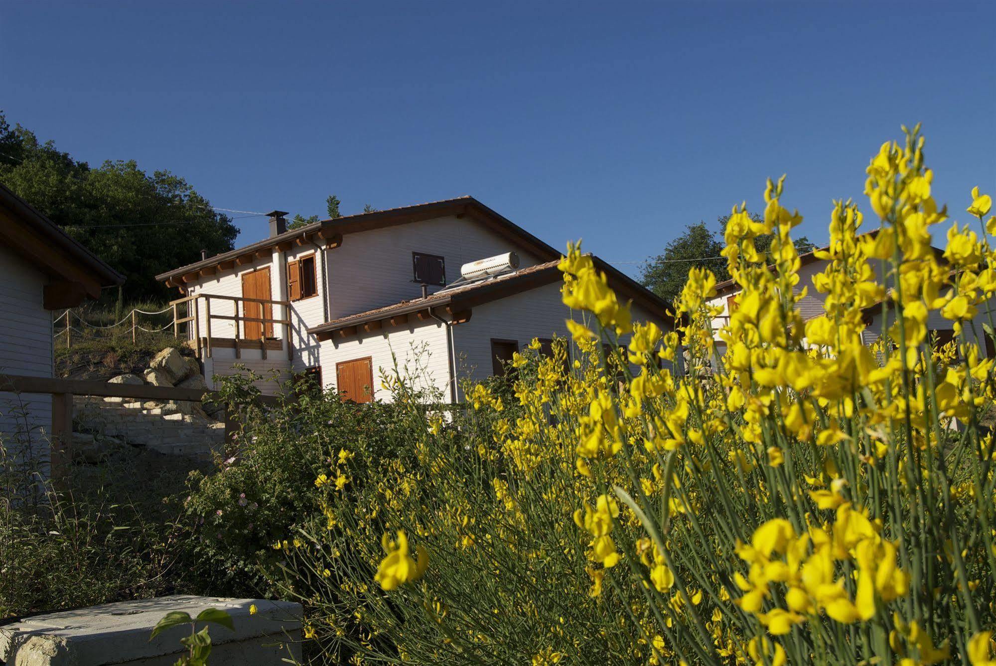 La Valle Dei Caprioli Village Bungalow Park - Freelandia Azienda Agricola Montescudo Esterno foto
